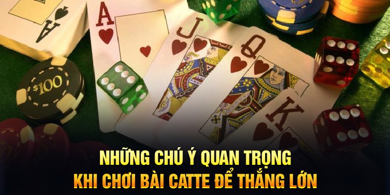 Bài Catte - Game Bài Đổi Thưởng Được Yêu Thích Nhất 2024 7 Những chú ý quan trọng khi chơi bài Catte để thắng lớn